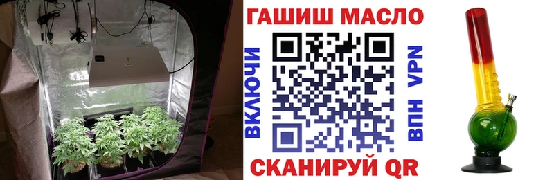 Купить закладки  Сегежа  Дистиллят ТГК жижа 