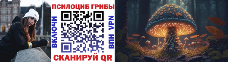 Галлюциногенные грибы мухоморы  Купить закладки  Сегежа 
